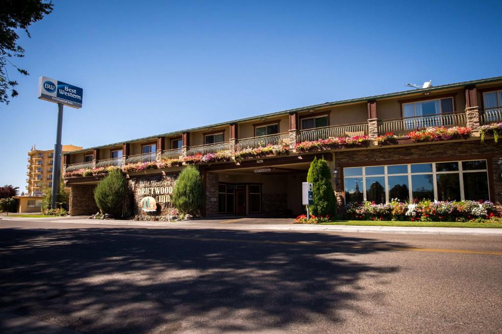 Best Western Driftwood Inn Main image 1